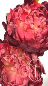 Bunga Imlek / Bunga Palsu / Bunga Biru / Bunga Merah / Bunga Peony