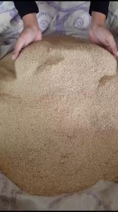 Telur Jangkrik Alam Umpan Pancing Kemasan 600gr