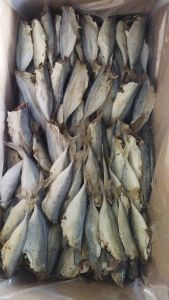 ikan asin PEDAK PUTIH PK 1kg peda kembung asli terlaris dan termurah promosi