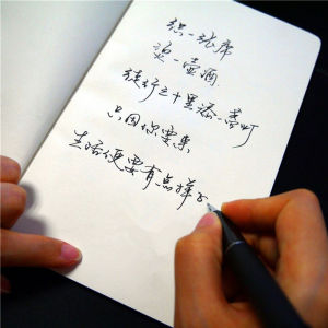 Cursive Handwriting Copybook Adult Writing Book Quick-Formed Boys and Girls Domineering Ligatures-Body Pen Copying Copybook Books