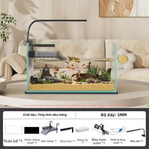 KUOTING | Thủy Cung Rùa Nhỏ Trang Trí bằng Kính trong suốt