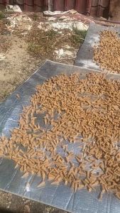 Trầm hương - 1 hộp 24 Nụ trầm hương cao cấp Thiên An khói ngược hương tự nhiên 100% nguyên chất nụ Vươn Tới Đỉnh Cao