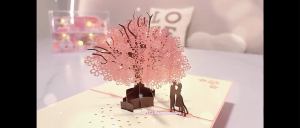 [SG SELLER] 3D Pop Up Greeting Cards Valentine Cards Wedding Cards Anniversary Engagement Thank you Cards Festive Season Cards Happy Anniverary
