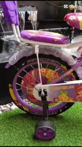 Sepeda Anak Perempuan Centrum 207 Ukuran 1216 & 18