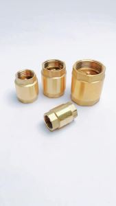 Van Một Chiều Lò Xo Lúp Pê Một Chiều Lò Xo Đồng Thau Phi 21 27 34 42 49 60