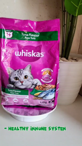 Whiskas dryfood junior adult 1.1kg 1.2kg makanan kucing