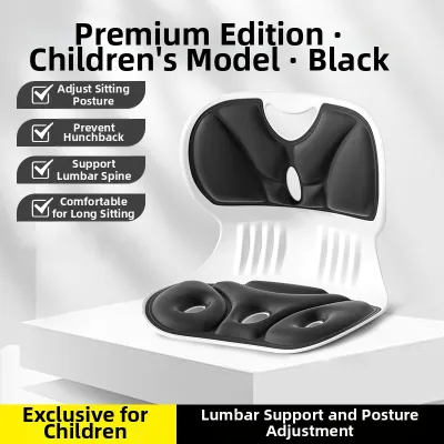 GUOQI | Ergonomic Lumbar Support Seat Cushion Back Rest