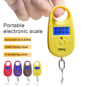 25kg 5g Mini Digital Scale Electronic Hanging Luggage Scale Accurate Fishing Pocket Weighing Scale LCD Display