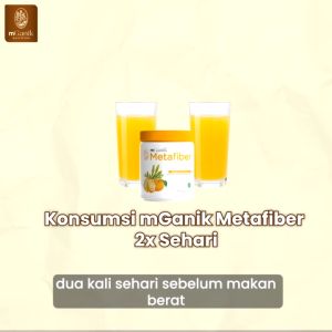 MGANIK METAFIBER 450 GRAM 30 SERVING META FIBER OBAT DIABETES HALAL BPOM