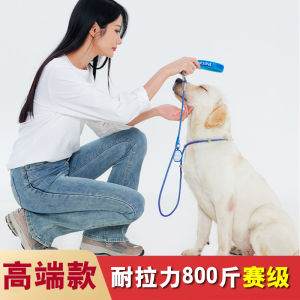 Non-Choking Dog Leash Competition Level Training Outdoor Walks for Small Medium Large Dogs Explosive Proof Pulling Tug-of-War