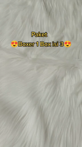 Celana Dalam 5D Magnetic Premium Boxer Therapy Terapi Kesehatan Vitalitas Pria Bahan Seamless Original CD Magnet 1 Box Isi 3 Pc