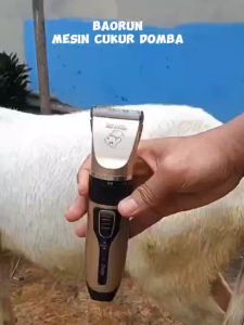 COD BaoRun PRO Alat Cukur Elektrik Bulu Hewan Pet Rechargeable K5 / alat cukur bulu domba / mesin cukur hewan domba garut / mesin cukur buat domba garut / mesin cukur hewan / alat cukur kambing domba / alat cukur bulu domba kucing anjing kambing listrik