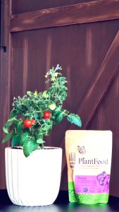 PlantFood Fruits 1KG [100% Organic Fertiliser]
