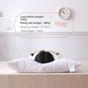 Slow Rebound Pillows 48x74cm