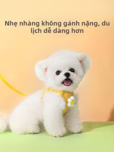 hipidog | Flower Pattern Small Dog Escape-proof Anti-burst Walking Leash and Harness