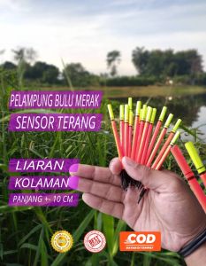 pelampung pancing super ngetrik bulu merak