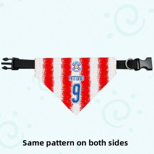 LEXI | Pet Fan Scarf 2026 World Cup Paraguay Team
