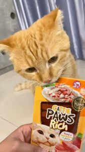 Cattie Paws Rich แคทตี้ พาวส์ ริช อาหารแมว อาหารเปียกแมว 70 กรัม บรรจุ 12 ซอง (เลือกรสชาติด้านใน)