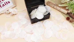 Natural White Capiz Shells Round with Holes Top Quality for Wind Chimes Jewelry Making And Home Decor