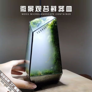 Scandinavian Creative Desktop Rainforest Moss Micro Landscape Glass Greenhouse Moss Landscape Green Plant Transparent Flower Pot Glass Flower Container
