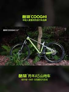 COOGHI | Youth Student Mountain Bike 24 inch