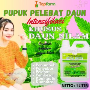 Pupuk Untuk Tanaman Nilam / Pupuk Nilam Penambah Minyak / Pupuk Untuk Tanaman Nilam / Pupuk Penyubur Daun Nilam / Pupuk Khusus Tanaman Nilam