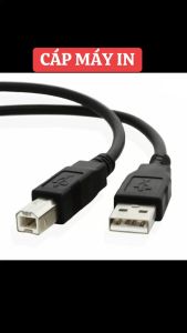 Cáp máy in có cục chống nhiễu