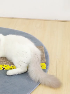 Cat Scratcher Cardboard Toy Cat Scratch Pad High-density Durable Cat kitten Scratching Cardboard