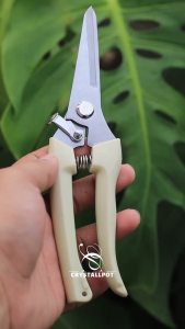 GUNTING DAHAN RANTING KAYU BATANG TANAMAN - GUNTING GARDENING PRUNING SCISSOR MODEL BENGKOK