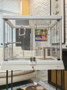 ขนาดใหญ่ เจอร์ญสเฟียร์ พาเจียว ขนาดใหญ่ รักกู้อารักขการุพูดชางกี่ปีปี อุจไมชูเฟอรบุดสตุดยิปหลอพัว สตุดม ชางจวอน โพซันตี้ โคเสียว กัวพู้ญจูเว่นกามิเกิงยุจู้ยทิตเซินห์ เหมสดูกลางหัคน โพซัวซ่เเกฮังจาวาง