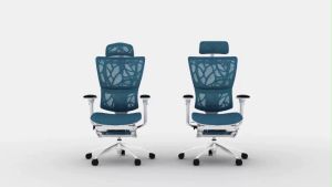 [CLEARANCE] Ergohuman IOO 3D Headrest Matrex USA Patent Mesh Ergonomic Office Chair