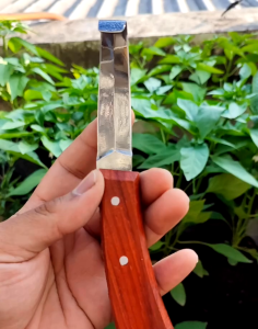 อุปกรณ์ตกแต่งเล็บเท้า สัตว์เลี้ยงกีบเท้าทุกชนิดปศุสัตว์  มีดปาดกีบม้า มีดปาดกีบวัว  ใบมีดคม 2 ด้าน สแตนเลสแท้ 100%