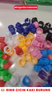 2 pcs RING JEPIT 8MM ring clip gelang kaki burung merpati dara pengaman pengikat ikan cincin burung