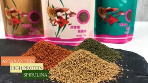 Inch-Gold Tropical Small Fish Food: High in Protein Spirulina & Astaxanthin