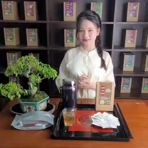 Trà Xạ Đen - Tuệ Quang - Giúp Ổn Định Huyết Áp Hạ Mỡ Máu Men Gan Thanh Lọc Cơ Thể - Hộp 50 lọc