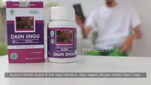 Obat Wasir Ambeien Kapsul Daun Ungu Hiu Herbal Sembelit Memperlancar BAB Haid