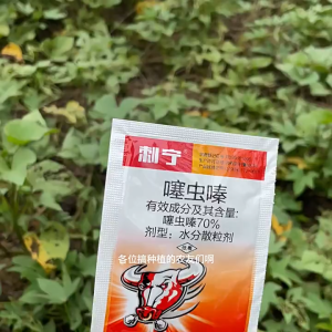 70% 噻虫嗪虫剂内吸 虫药 Thiamethoxam 70% WP Formula Leafhoppers AphidsThrips Kawalan benah kutu daun 绿叶蝉稻飞虱蚜虫韭蛆蓟马