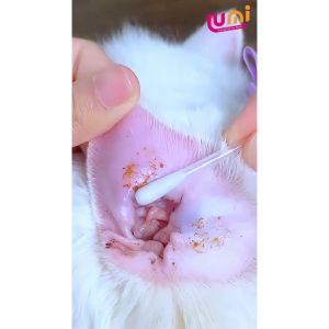 Lumipet Tetes Telinga Pembersih & Penghilang Infeksi Radang Gatal dan Bau Tidak Sedap Kuping Kucing dan Anjing