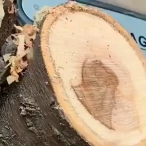 【พันธนาการไร้สาย】BDSCH เลื่อยไฟฟ้า 6 นิ้ว พลังงาน399TV 12800W ฟรีกล่องเครื่องมือ เลื่อยไฟฟ้าไร้สาย แบตเตอรี่ 2 ก้อน Li-ion เลื่อยตัดไม้ เลื่อยยนต์ เลื่อยโซ่ไฟ เลื่อยไร้สาย เลื่อยโซ่ไฟฟ้า เลื่อยโซ่ เลื่อยยนตัดไม้ เลื่อยโซ่ยนต์