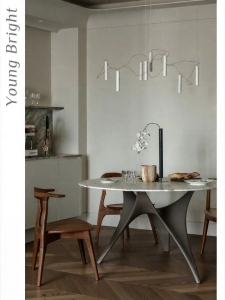 Artistic Designer Modern Minimalist Pendant Light