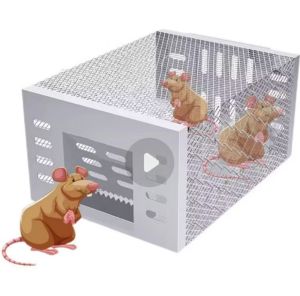 perangkap tikus pintu otomatis. jebakan tikus masal bisa masuk 7 ekor tikus terperangkap