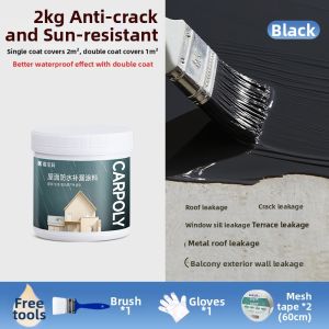 CARPOLY | Waterproof Crack Repair Sealant