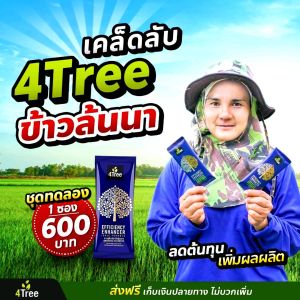 โฟร์ทรี  ของแท้  1 ซอง โฟรทีรของแท้ สารเพิ่มประสิทธิภาพ 4treeสารเสริมประสิทธิภาพพืช 4tree โฟร์ทรี  โฟทีร ของแท้  4TREE เก็บปลายทาง