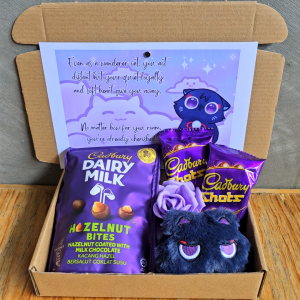 ✨ Wanderer Purple Kitty Cat Anime Gift for Girlfriends or Best Friend Giftset Hampers Blue Theme Cute Ready to Gift
