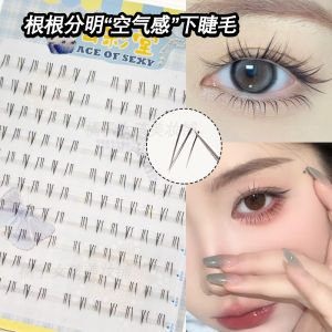 Natural Looking Single Cluster Segmented Transparent Stem False Eyelashes Easy to Use Curly Enhance Daily Makeup for Women