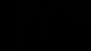 Tebok PVC Sangkar Murai Batman: Sangkar Burung Tahan Lama & Optimal