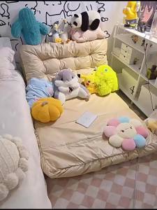 Multifunctional Foldable Sofa Bed