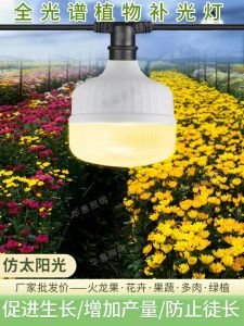 Full Spectrum LED Grow Light Bulb for Plant Growth Vegetable Flower Seedling Lighting Succulent Decoration Home Lighting