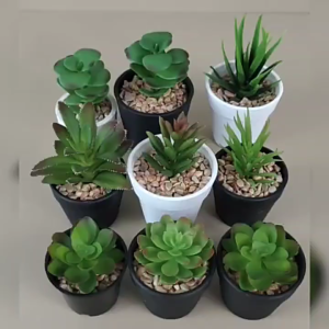 Nice and practical! Simple plastic small flower pot suitable for succulents and green plants.