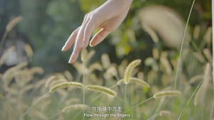 Portable Air Circulation Adjustable Fan / Desktop & Standing Fan / Remote Control